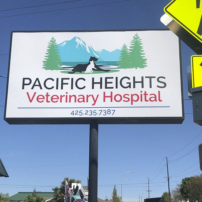 pacific-heights-vet-1